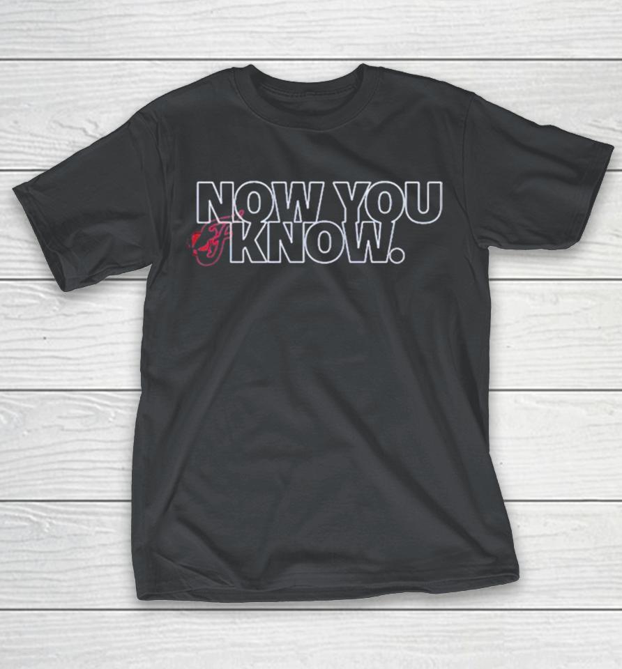 Indiana Fever Now You Know Shirts