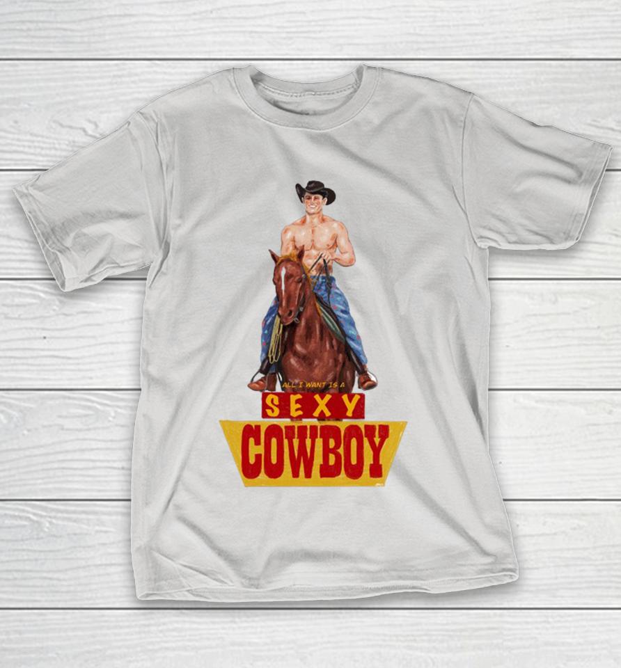 All I Want Is A Sexy Cowboy Shirts