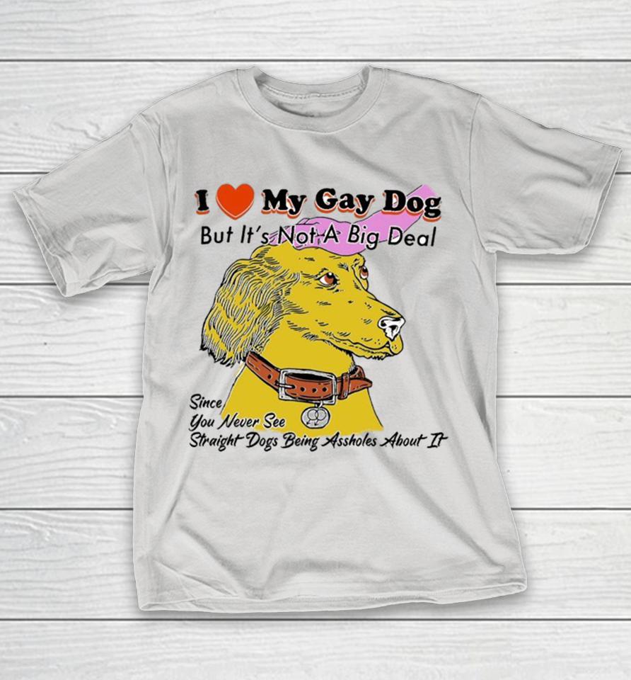 I Love My Gay Dog But It’s Not A Big Deal Since You Never See Straight Dogs Being Assholes About It Shirts